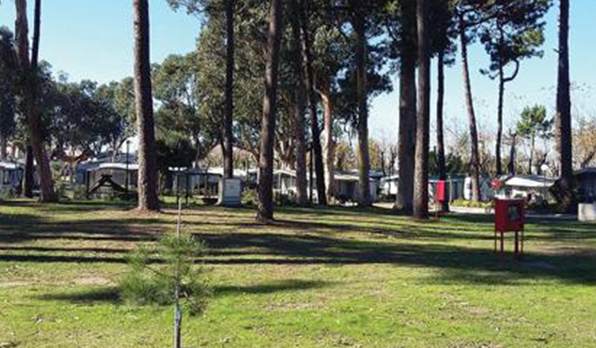 Camping Parque de Campismo Sol de Vila Ch 1 stars Vila do