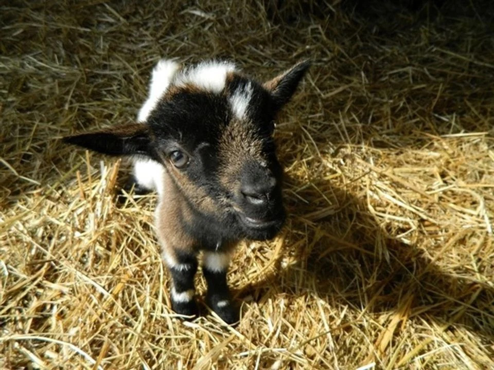 Bel-air Aquitaine - Sadirac visuel 3/5