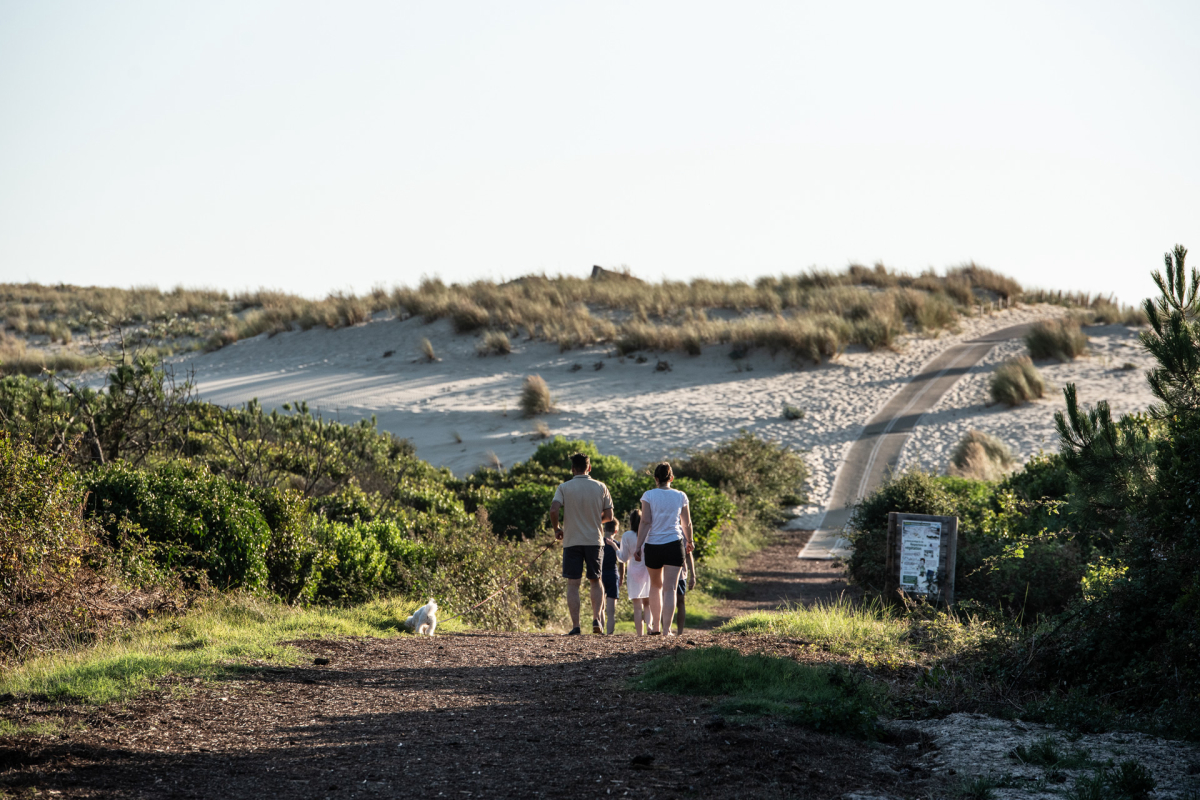 Campéole Les Tourterelles Aquitaine - Saint-Girons visuel 2/3 Campéole Les Tourterelles Aquitaine - Saint-Girons visuel 2/3