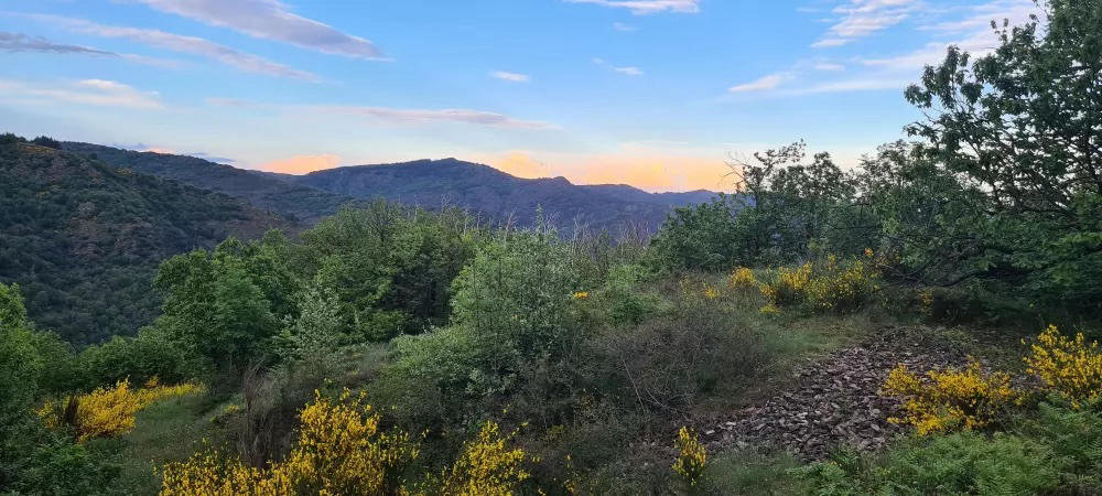 Chateau De L'hom Languedoc-Roussillon - Saumane visuel 6/11