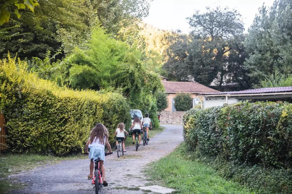 Chateau De L'hom Languedoc-Roussillon - Saumane visuel 4/11