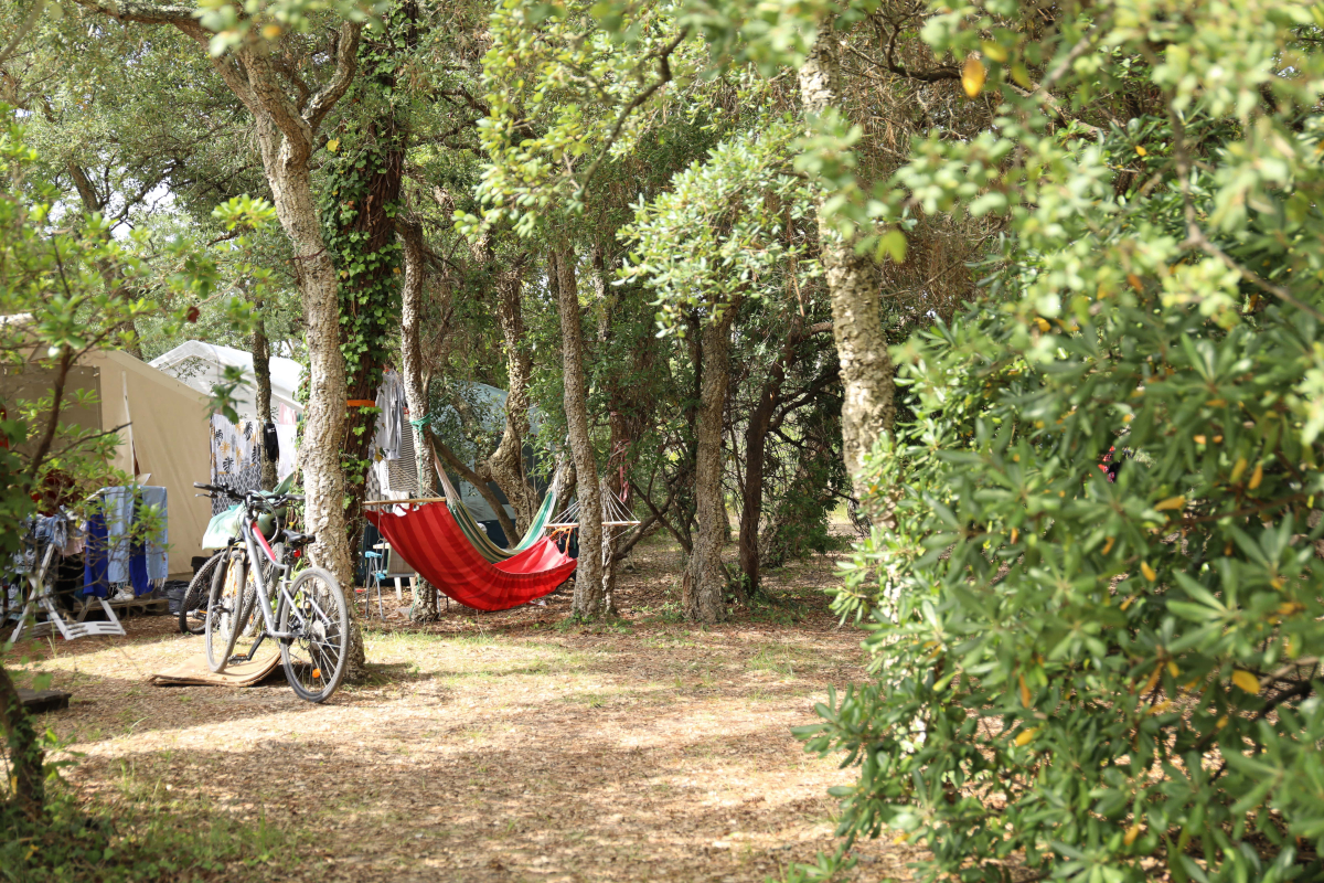 Domaine de Fierbois Aquitaine - Capbreton visuel 14/15 Domaine de Fierbois Aquitaine - Capbreton visuel 14/15