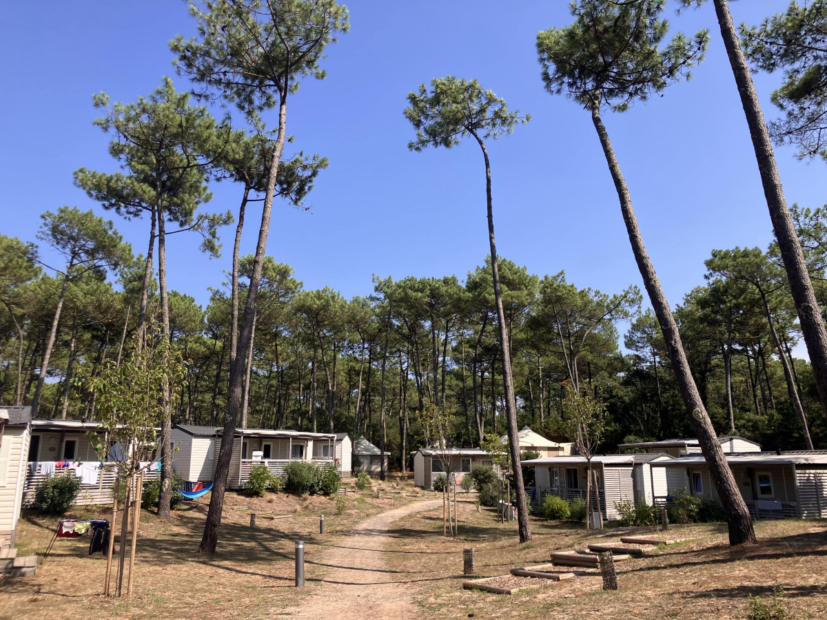 Domaine de Fierbois Aquitaine - Capbreton visuel 1/15 Domaine de Fierbois Aquitaine - Capbreton visuel 1/15