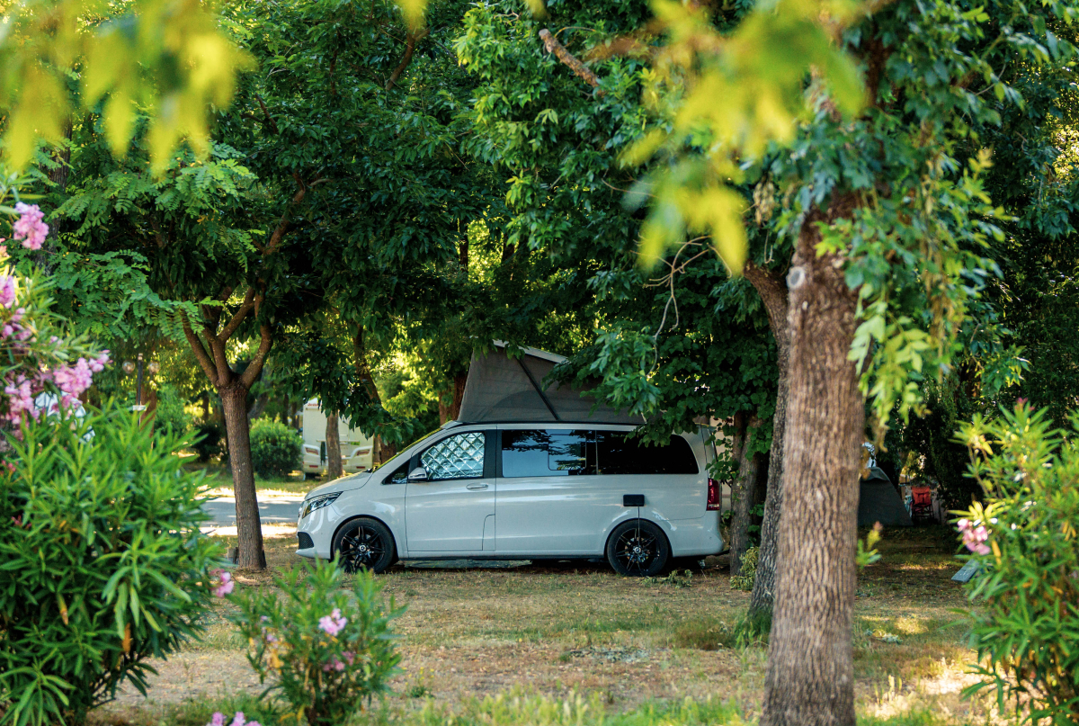 L'Argentière Provence-Alpes-Côte d'Azur - Cogolin visuel 10/12 L'Argentière Provence-Alpes-Côte d'Azur - Cogolin visuel 10/12