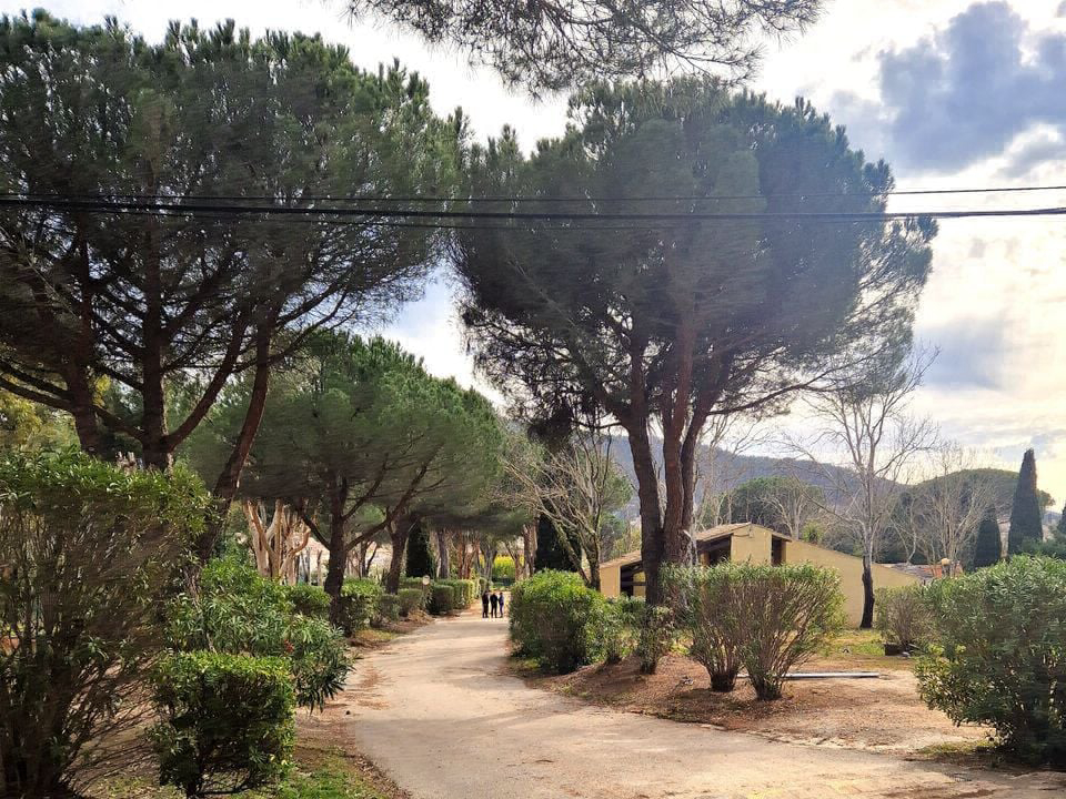 Le Hameau des Pins La moutonne - Provence-Alpes-Côte d'Azur - La Crau visuel 6/7 Le Hameau des Pins La moutonne - Provence-Alpes-Côte d'Azur - La Crau visuel 6/7