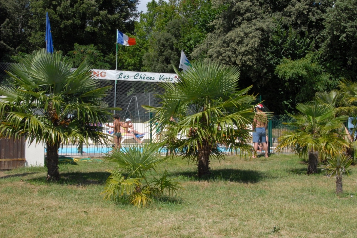 Camping Les Chenes Verts - Meschers-sur-Gironde