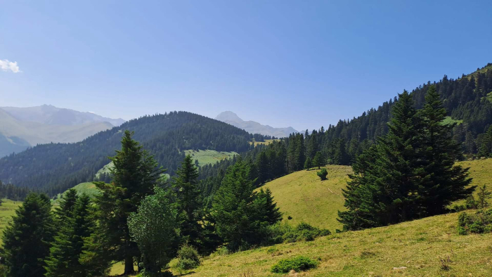 Camping Bellevue Des Palomieres - Bagnères-de-Bigorre